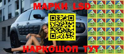 винт Шахты