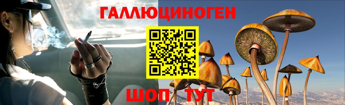 Псилоцибиновые грибы мухоморы  Вход с VPN  Галлюциногенные грибы Cubensis  Белогорск 